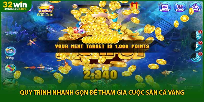 Quy trình nhanh gọn để tham gia cuộc săn cá vàng